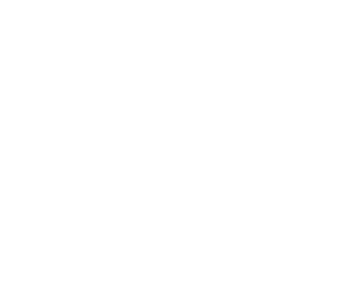 Silver Wash Auto